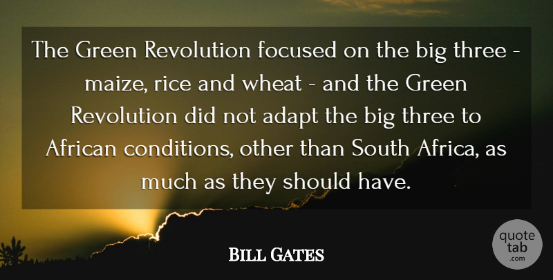 Bill Gates Quote About Should Have, Green, Wheat: The Green Revolution Focused On...