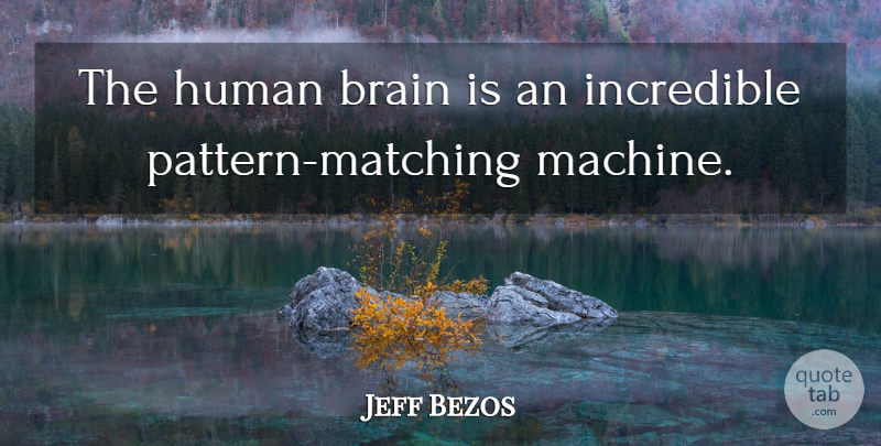 Jeff Bezos Quote About Brain, Patterns, Matching: The Human Brain Is An...