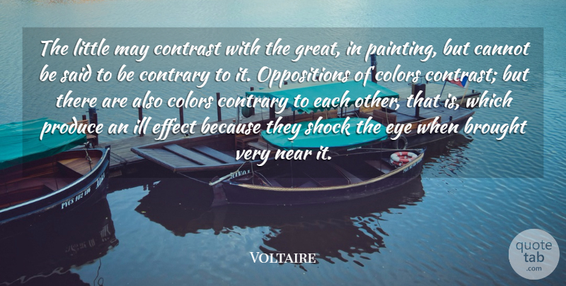 Voltaire Quote About Eye, Color, May: The Little May Contrast With...