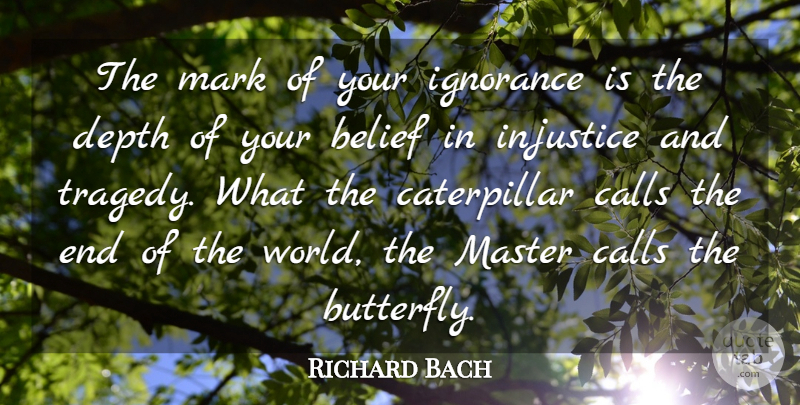 Richard Bach Quote About Believe, Ignorance, Butterfly: The Mark Of Your Ignorance...