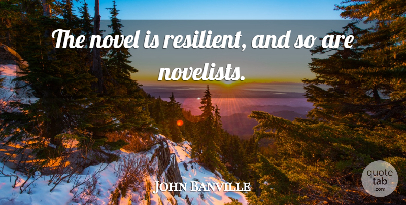 John Banville Quote About Novelists, Resilient, Novel: The Novel Is Resilient And...