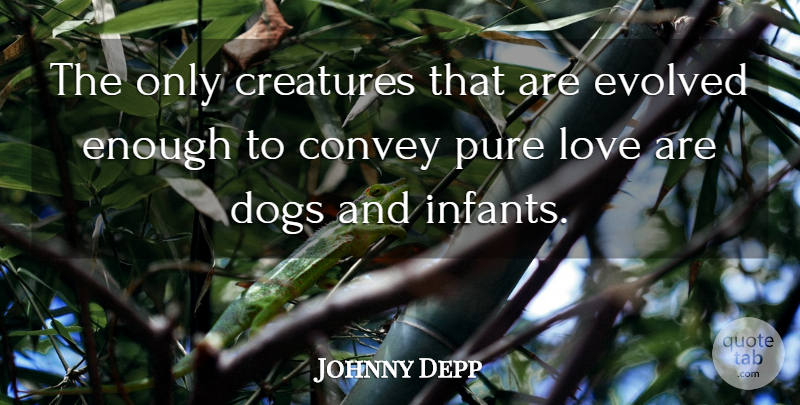 Johnny Depp Quote About Love, Dog, Baby: The Only Creatures That Are...