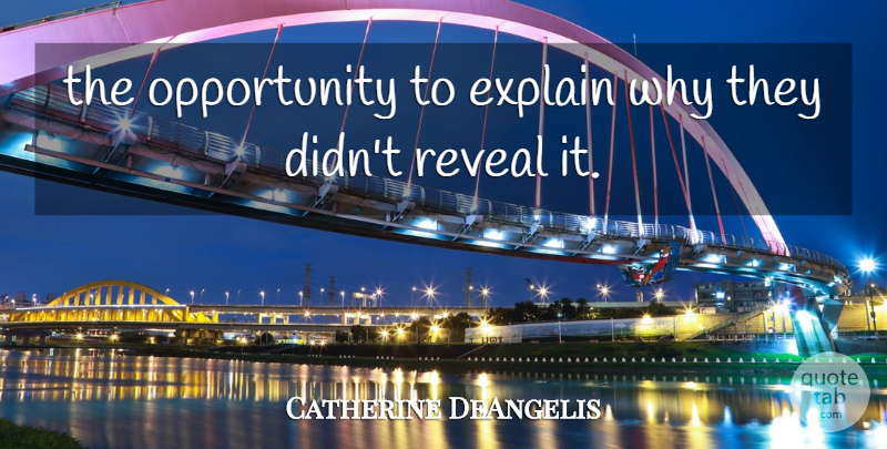 Catherine DeAngelis Quote About Explain, Opportunity, Reveal: The Opportunity To Explain Why...