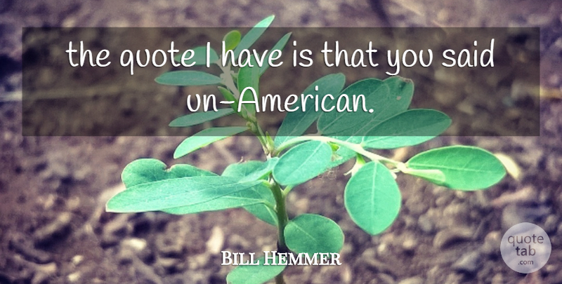 Bill Hemmer Quote About Quote: The Quote I Have Is...