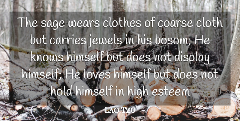 Lao Tzu Quote About Carries, Clothes, Display, Esteem, High: The Sage Wears Clothes Of...