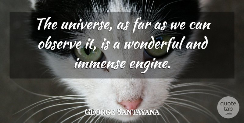 George Santayana Quote About World, Amusement, Spirit: The Universe As Far As...