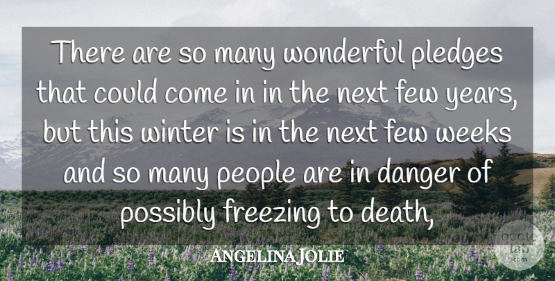 Angelina Jolie Quote About Danger, Few, Freezing, Next, People: There Are So Many Wonderful...
