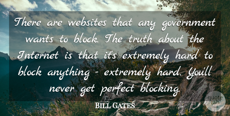 Bill Gates Quote About Block, Government, Perfect: There Are Websites That Any...