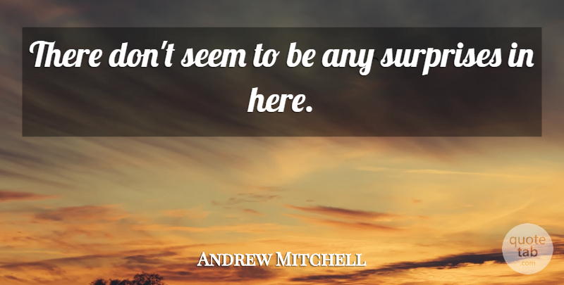 Andrew Mitchell Quote About Seem, Surprises: There Dont Seem To Be...
