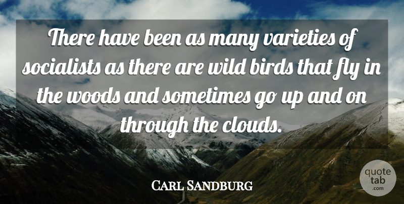 Carl Sandburg Quote About Clouds, Bird, Woods: There Have Been As Many...