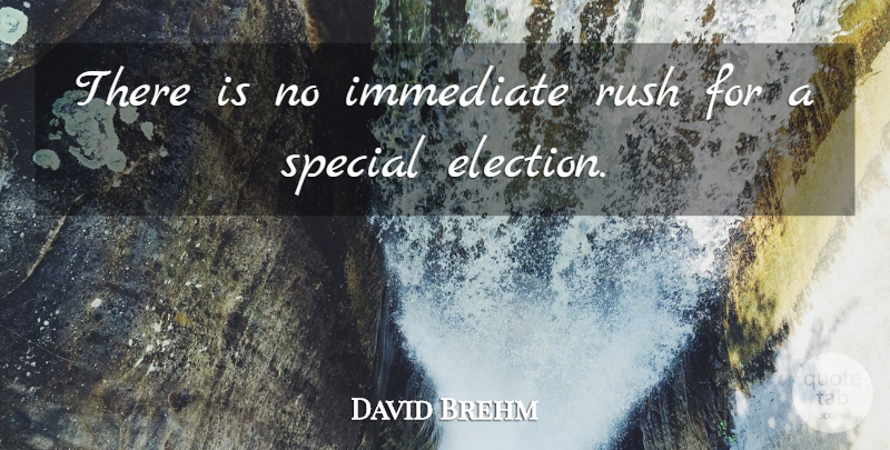 David Brehm Quote About Elections, Immediate, Rush, Special: There Is No Immediate Rush...