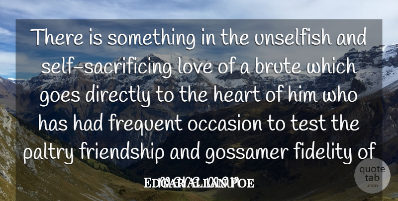 Edgar Allan Poe Quote About Brute, Directly, Fidelity, Frequent, Friendship: There Is Something In The...