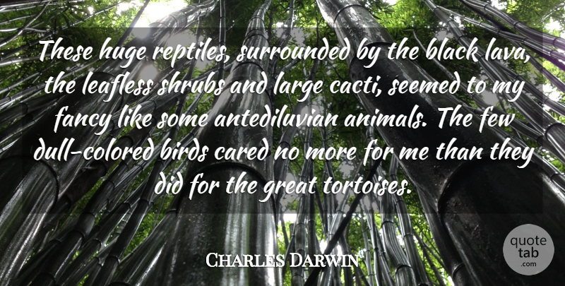 Charles Darwin Quote About Birds, Black, Cared, Fancy, Few: These Huge Reptiles Surrounded By...