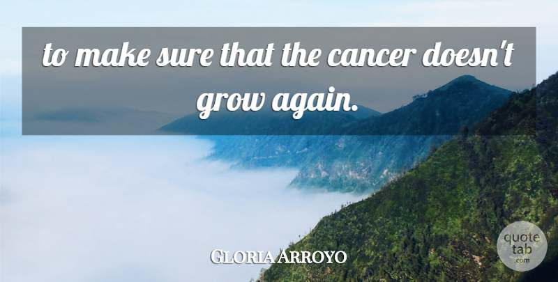 Gloria Arroyo Quote About Cancer, Grow, Sure: To Make Sure That The...