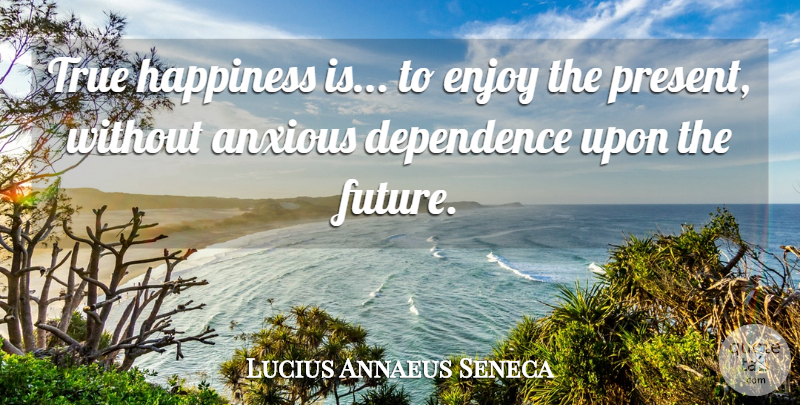 Lucius Annaeus Seneca Quote About Anxious, Dependence, Enjoy, Happiness, True: True Happiness Is To Enjoy...