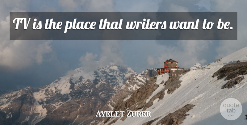 Ayelet Zurer Quote About Want, Tvs: Tv Is The Place That...