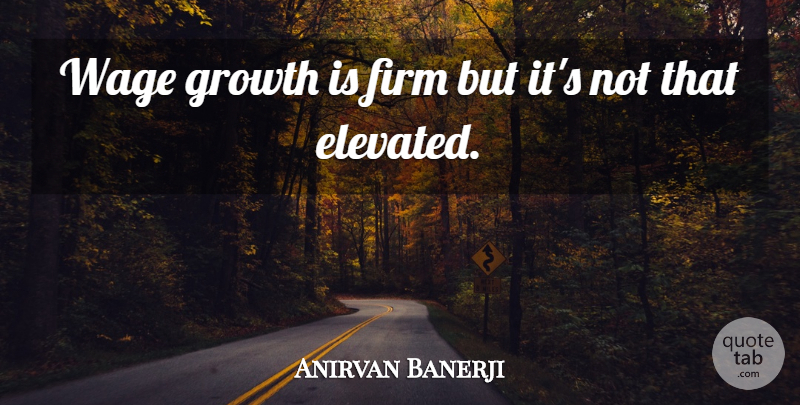 Anirvan Banerji Quote About Firm, Growth, Wage: Wage Growth Is Firm But...