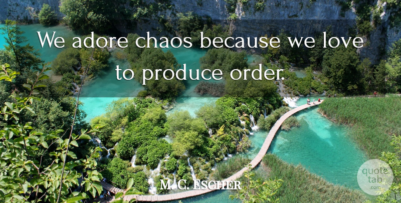 M. C. Escher Quote About Inspirational, Life, Order: We Adore Chaos Because We...