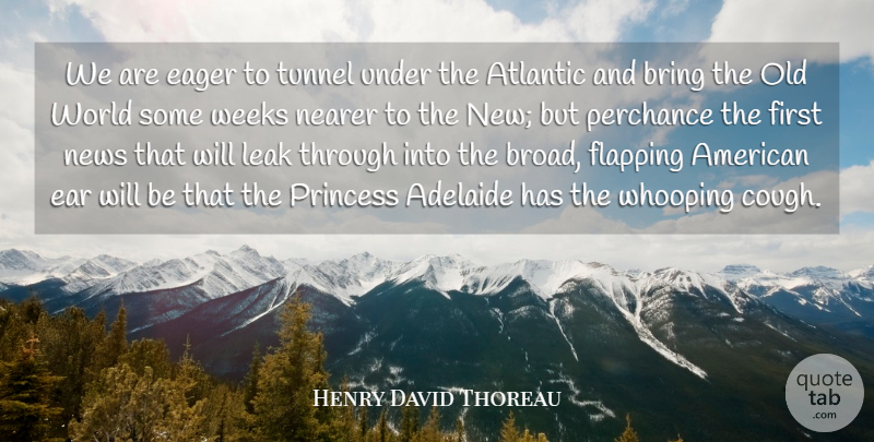 Henry David Thoreau Quote About Princess, Media, Tunnels: We Are Eager To Tunnel...