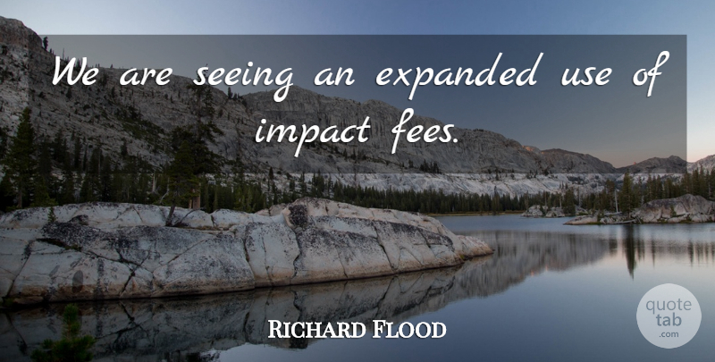 Richard Flood Quote About Impact, Seeing: We Are Seeing An Expanded...