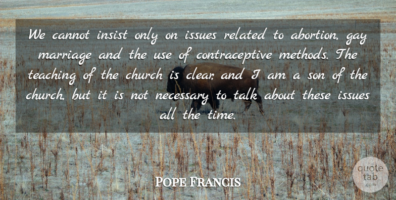 Pope Francis Quote About Teaching, Son, Gay: We Cannot Insist Only On...