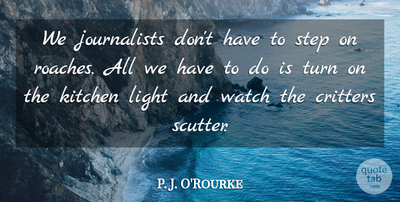 P. J. O'Rourke Quote About Turn, Watch: We Journalists Dont Have To...