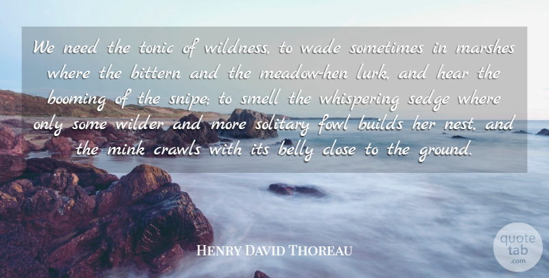 Henry David Thoreau Quote About Belly, Booming, Builds, Close, Hear: We Need The Tonic Of...