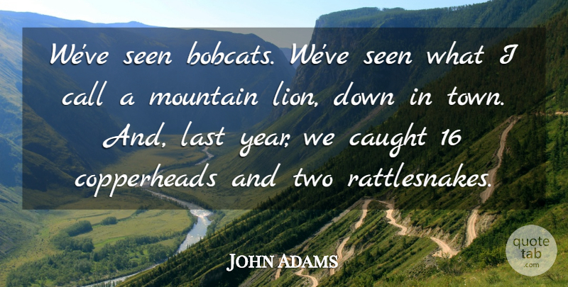 John Adams Quote About Call, Caught, Last, Mountain, Seen: Weve Seen Bobcats Weve Seen...
