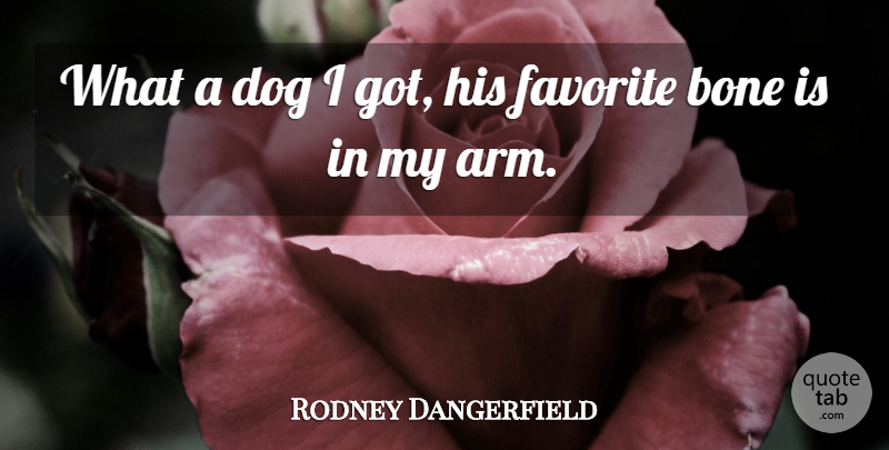 Rodney Dangerfield Quote About Dog, Pet, Arms: What A Dog I Got...