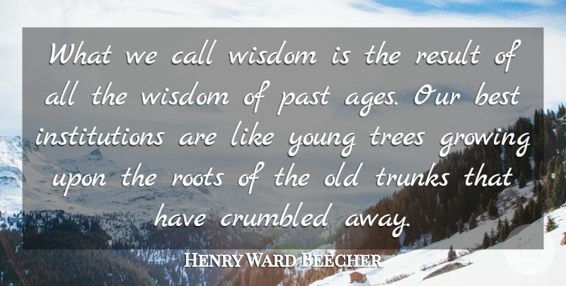 Henry Ward Beecher Quote About Past, Roots, Tree: What We Call Wisdom Is...