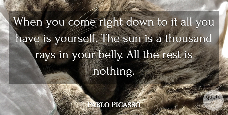Pablo Picasso Quote About Rays, Rest, Sun, Thousand: When You Come Right Down...