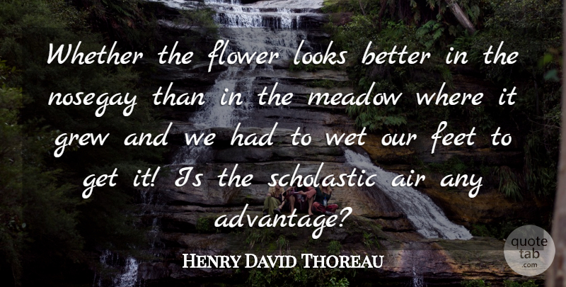 Henry David Thoreau Quote About Flower, Editing, Editors: Whether The Flower Looks Better...