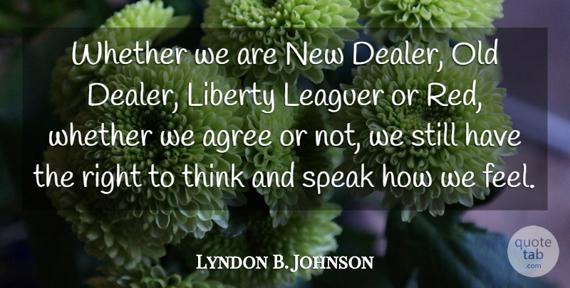 Lyndon B. Johnson Quote About Thinking, Agreement, Liberty: Whether We Are New Dealer...