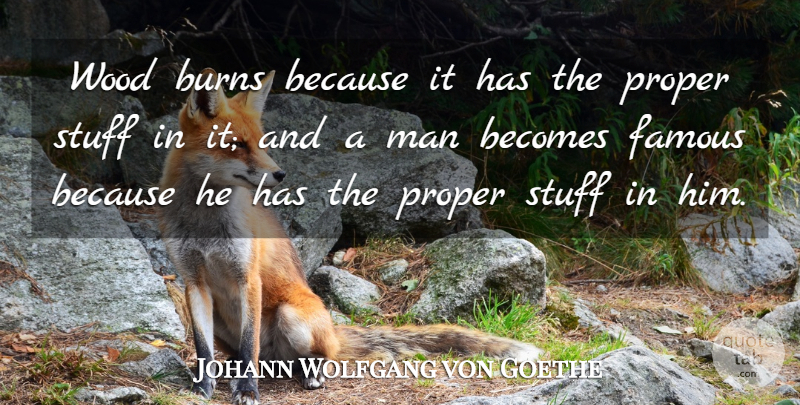 Johann Wolfgang von Goethe Quote About Men, Woods, Stuff: Wood Burns Because It Has...