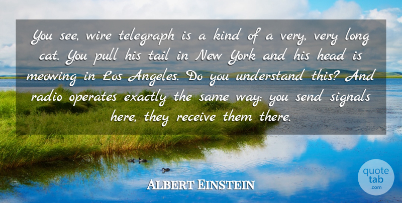 Albert Einstein Quote About Inspirational, Funny, Motivational: You See Wire Telegraph Is...