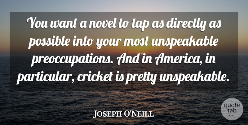 Joseph O'Neill Quote About America, Want, Preoccupation: You Want A Novel To...