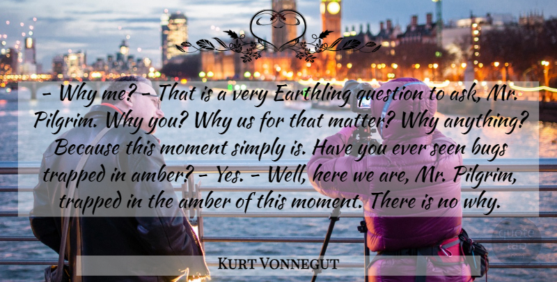 Kurt Vonnegut Quote About Slaughterhouse Five, Amber, Matter:  Why Me That Is...
