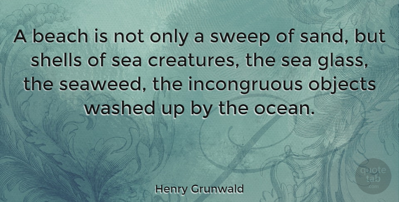 Henry Grunwald Quote About Objects, Shells, Sweep, Washed: A Beach Is Not Only...