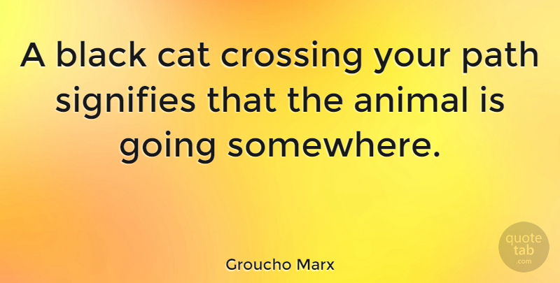 Groucho Marx Quote About Inspirational, Funny, Humor: A Black Cat Crossing Your...