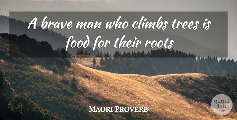Maori Proverb Quote About Brave, Climbs, Food, Man, Roots: A Brave Man Who Climbs...