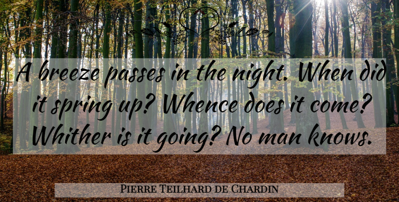 Pierre Teilhard de Chardin Quote About Spring, Night, Men: A Breeze Passes In The...