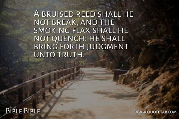 Bible Bible Quote About Bring, Bruised, Forth, Judgment, Reed: A Bruised Reed Shall He...