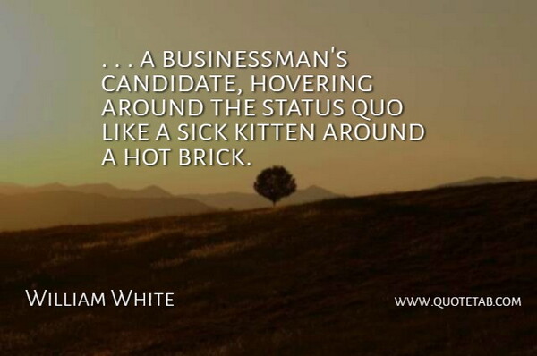 William White Quote About Hot, Hovering, Kitten, Quo, Sick: A Businessmans Candidate Hovering Around...