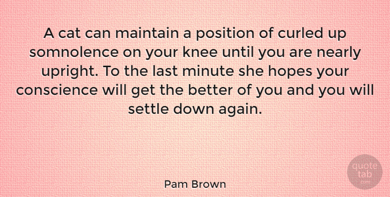 Pam Brown Quote About Hope, Cat, Knees: A Cat Can Maintain A...
