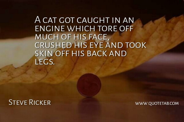 Steve Ricker Quote About Cat, Caught, Crushed, Engine, Eye: A Cat Got Caught In...