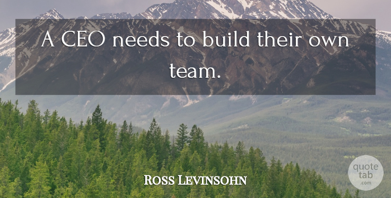 Ross Levinsohn Quote About Build, Ceo, Needs: A Ceo Needs To Build...