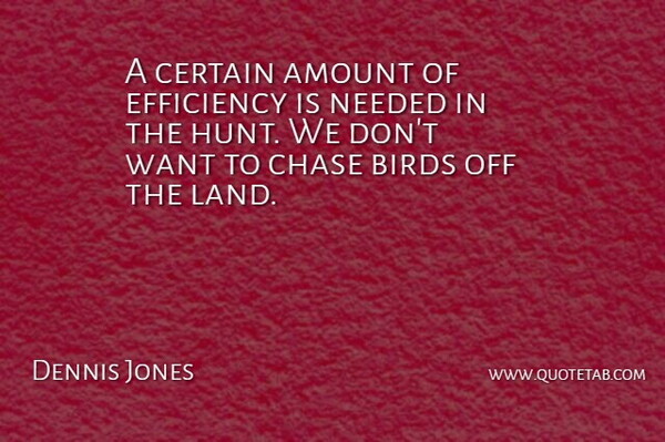 Dennis Jones Quote About Amount, Birds, Certain, Chase, Efficiency: A Certain Amount Of Efficiency...