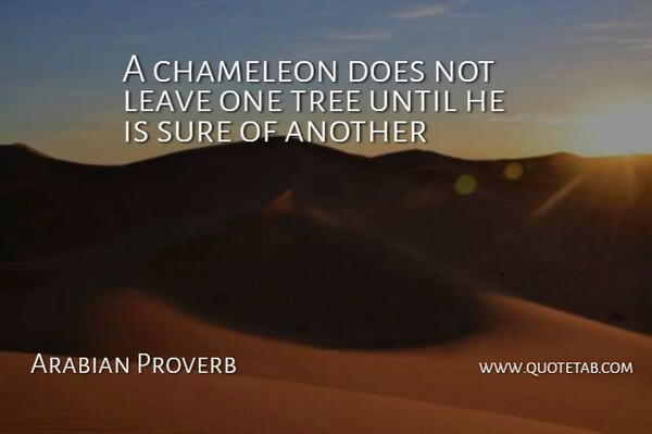 Arabian Proverb Quote About Chameleon, Leave, Sure, Tree, Until: A Chameleon Does Not Leave...