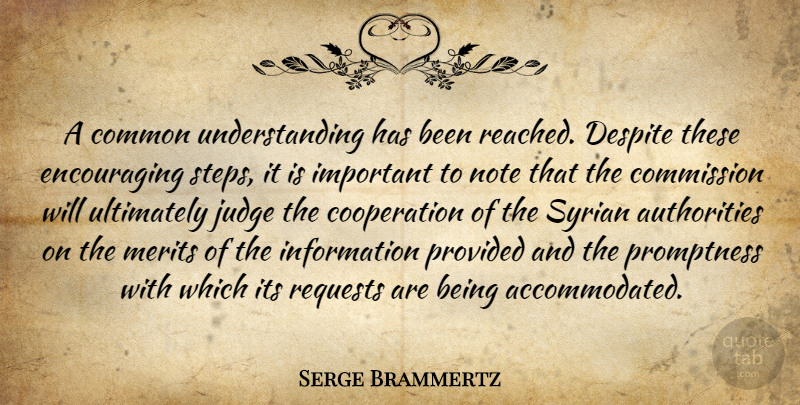 Serge Brammertz Quote About Commission, Common, Cooperation, Despite, Information: A Common Understanding Has Been...