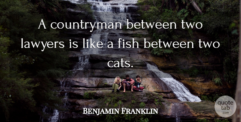 Benjamin Franklin Quote About Humorous, Cat, Law: A Countryman Between Two Lawyers...